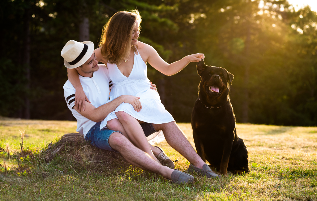 young couple with Rottweiler dog playing with his ears in sunny field