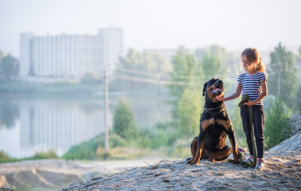 Rottweiler dog with young girl child by lake in the morning