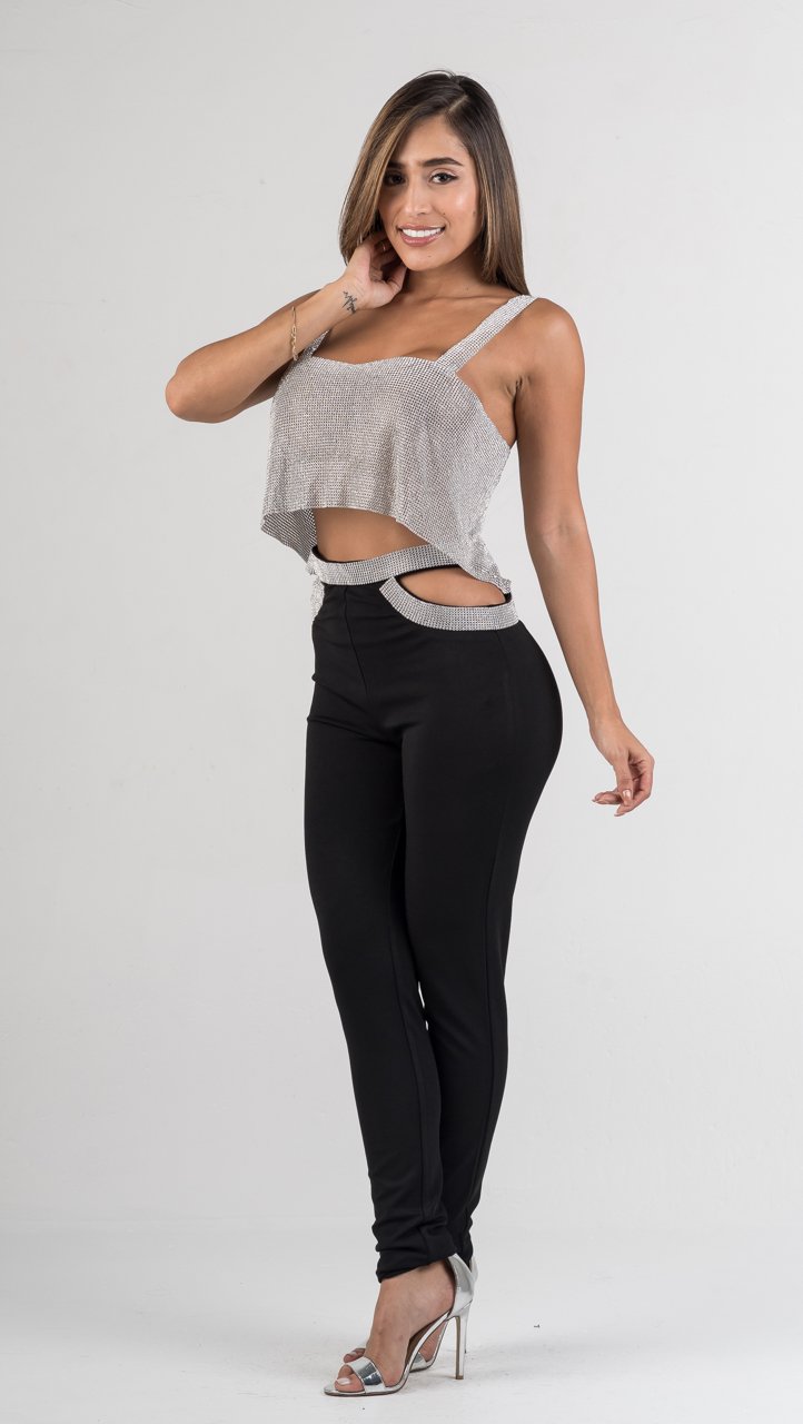 silver mesh crop top