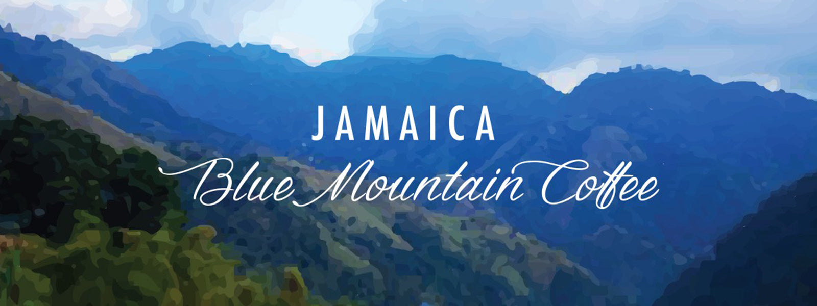 Jamaique Blue Mountain