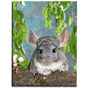 chinchilla painting