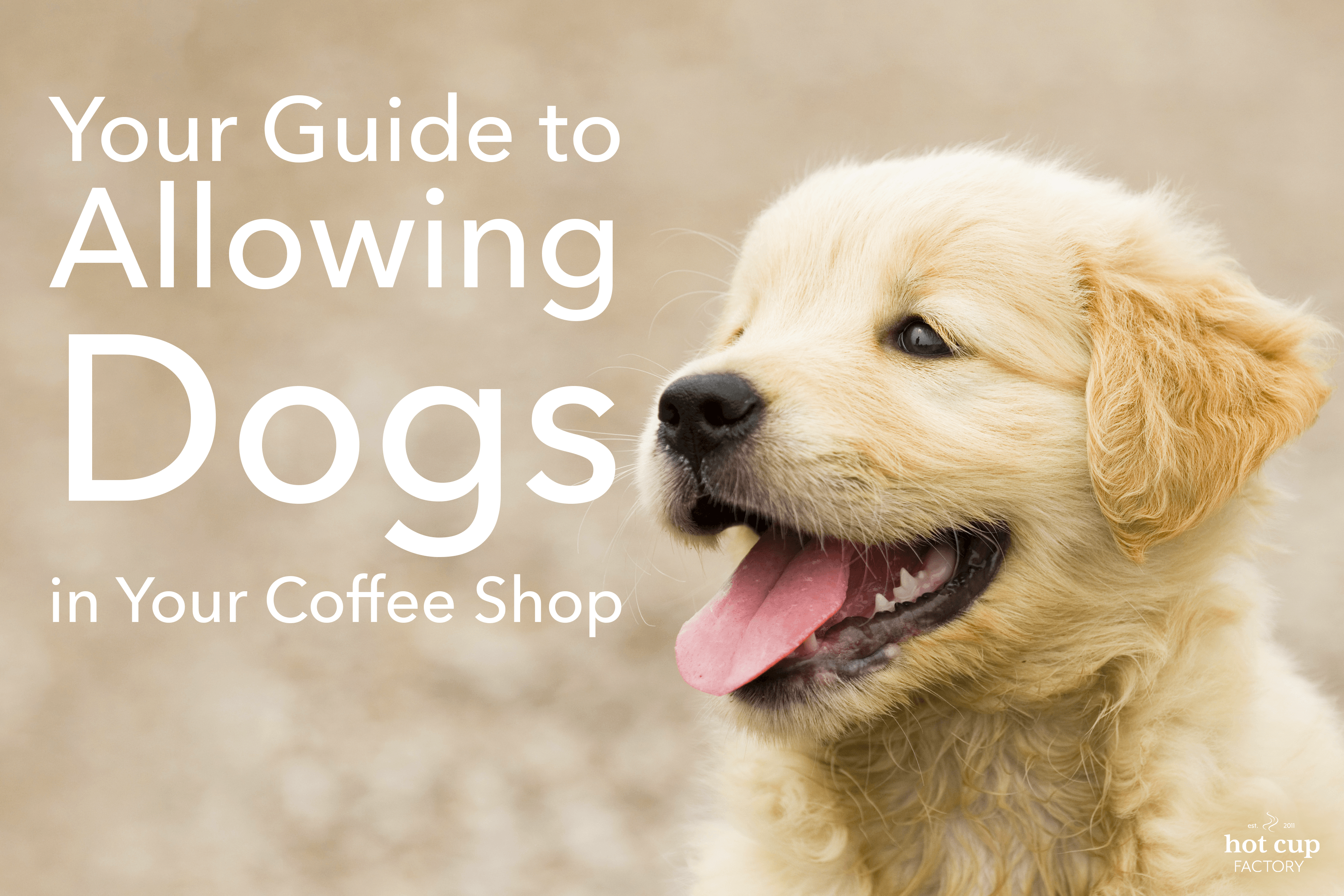 should dogs be allowed in cafes