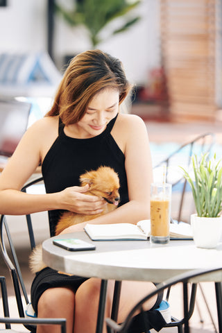 Woman with Dog, The Pup Cup: Every Dog's Favorite Treat