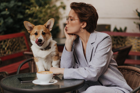 Woman with Corgi, Your Guide to Allowing Dogs in Your Coffee Shop