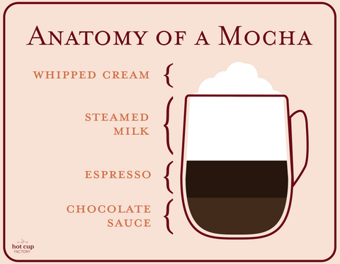 Anatomy of a Mocha, How to Make the Best Mocha