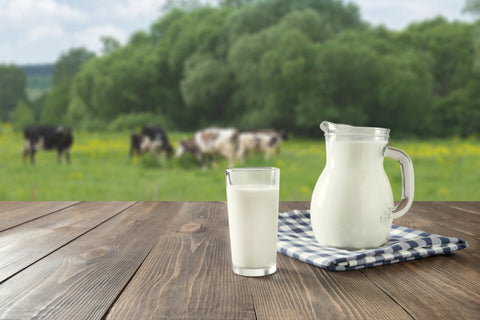 Fat Free Milk, How to Make Cold Foam for Your Coffee Shop