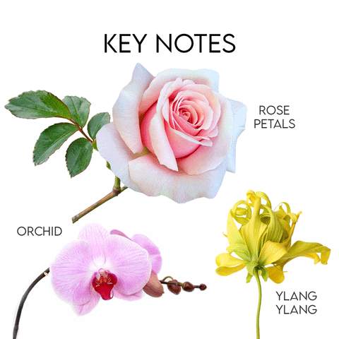 Vintage rose scented candle fragrance notes