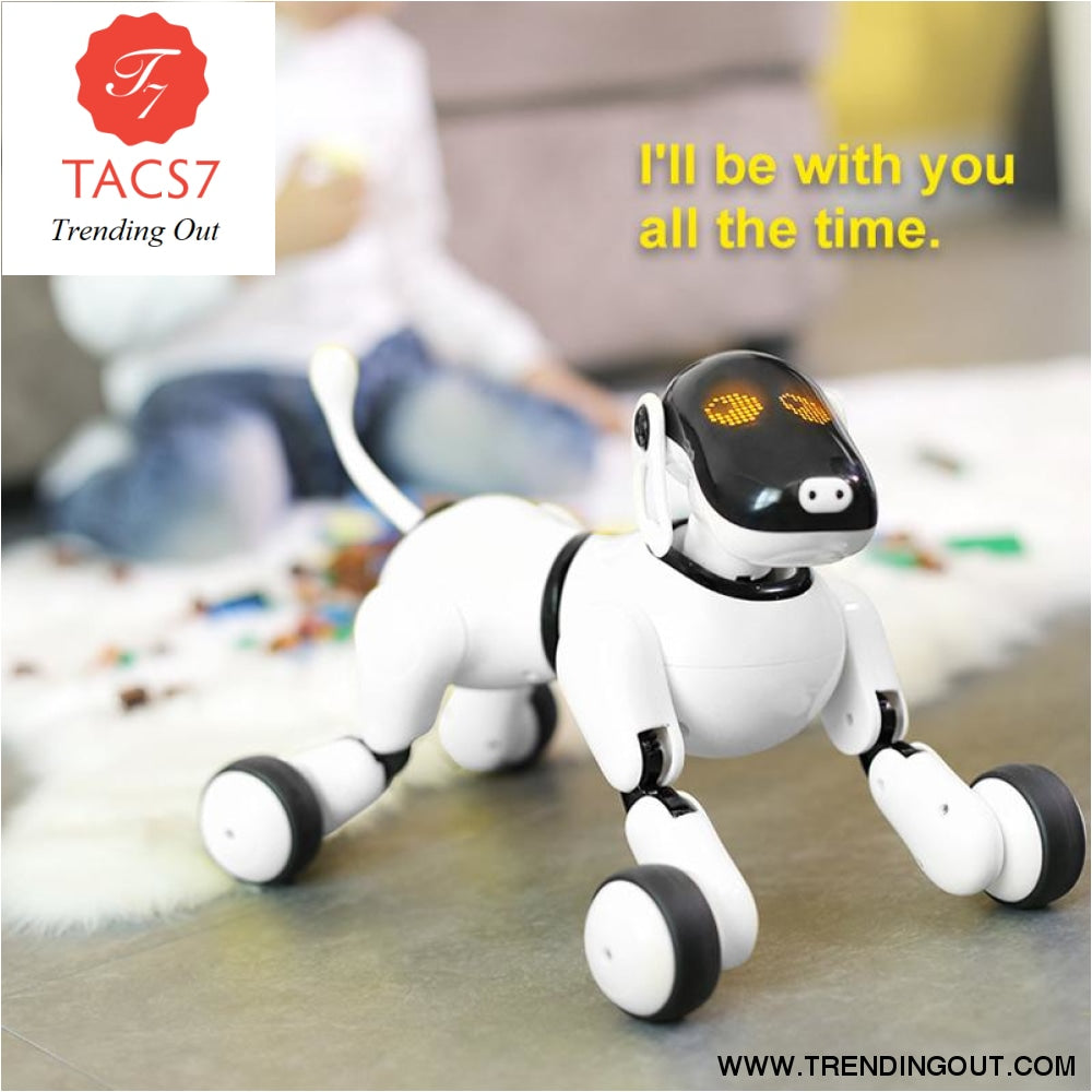 walking robot dog toy