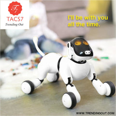 rc smart dog