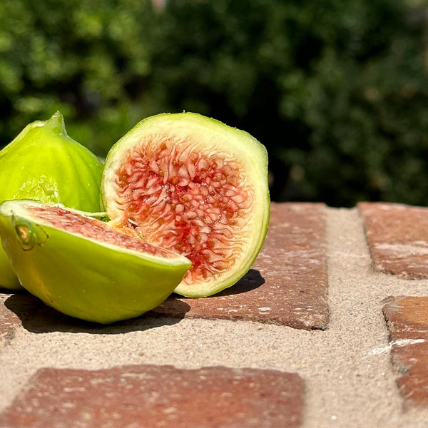 Nutritional Benefits of figs:  Discover the Versatile Greek Superfood You Need to Try Today