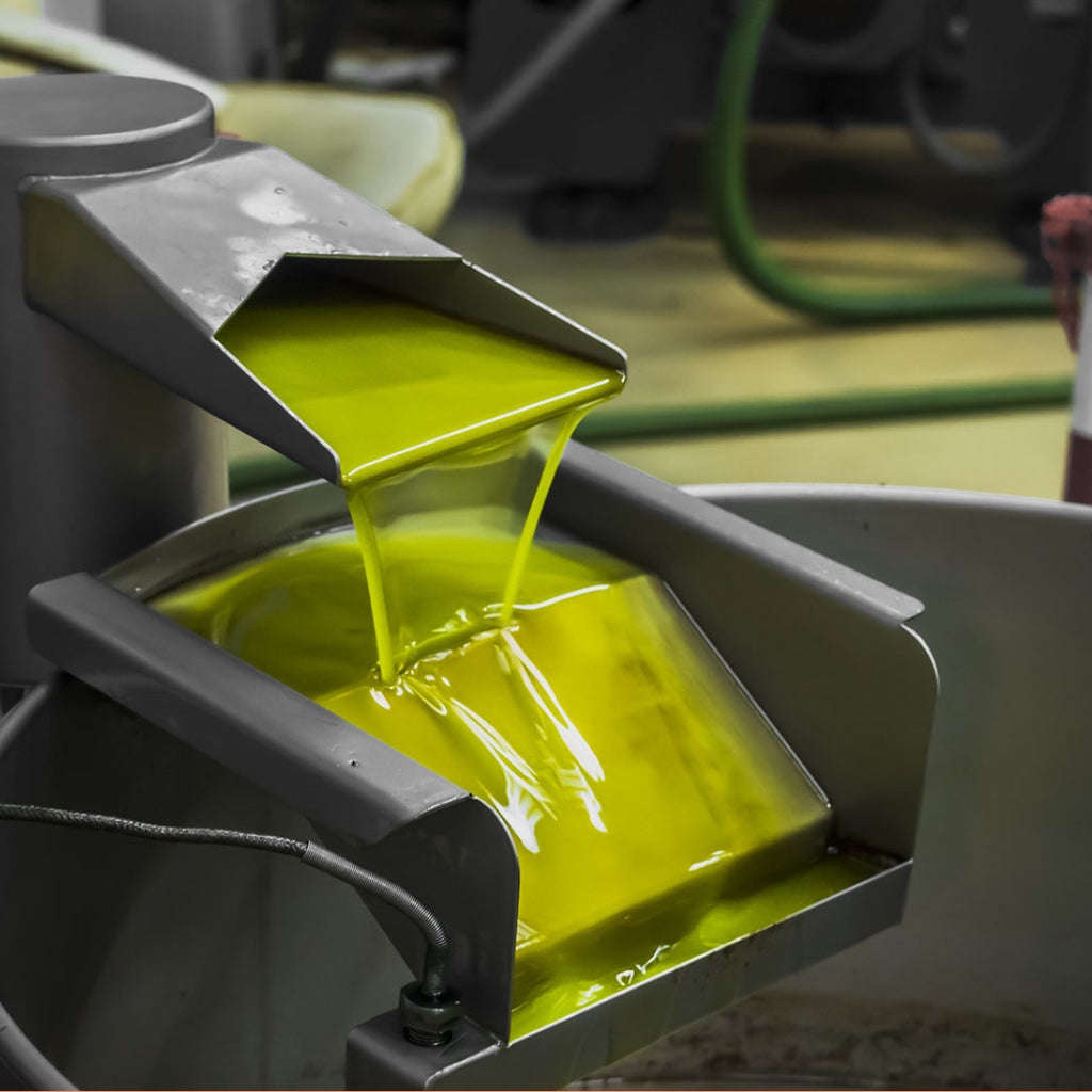 Production of extra virgin olive oil