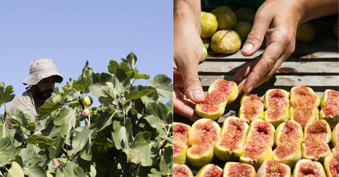 figs from greece dried natural