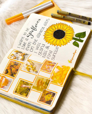 15 HOT Summer Bullet Journal Layouts | The Digital Download Shop