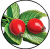 Rosehip Oil