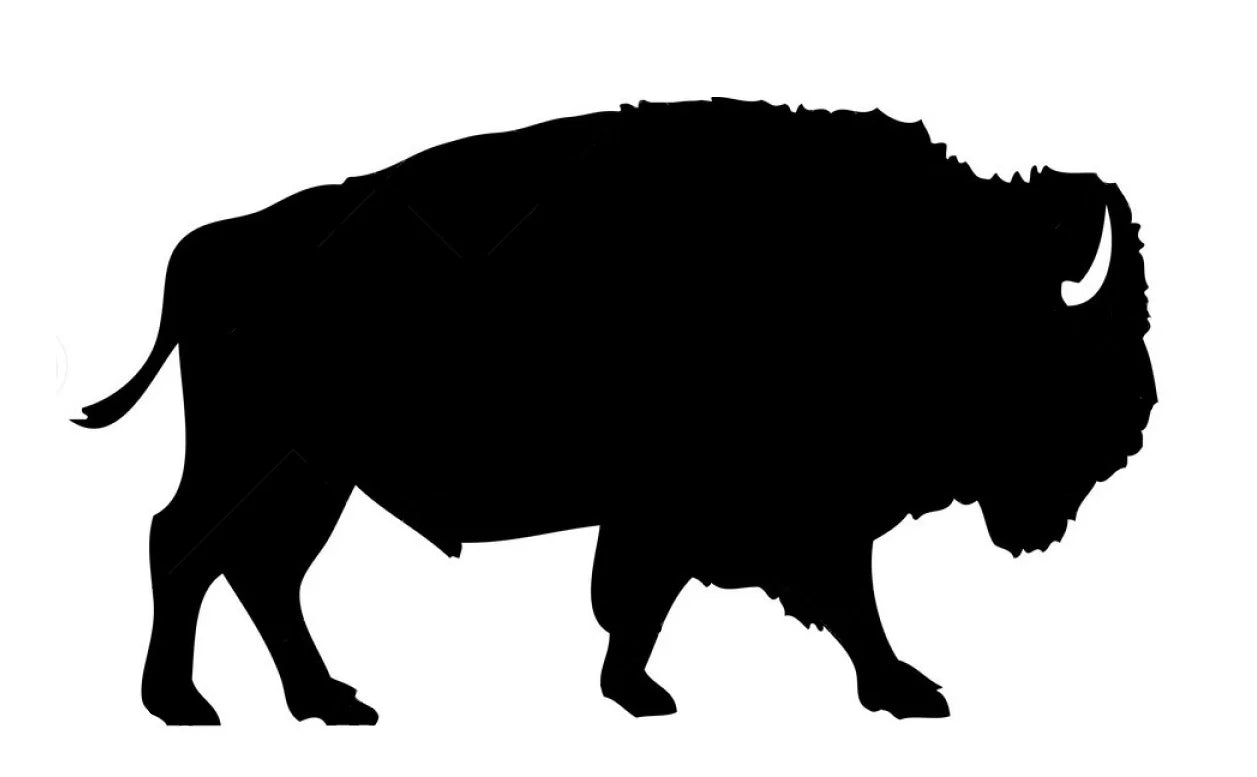 bison_silhouette