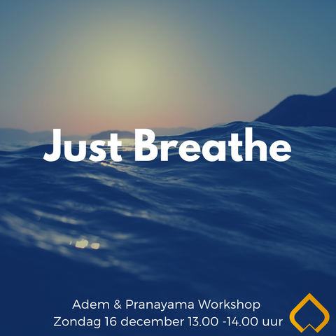 Adem & Pranayama workshop