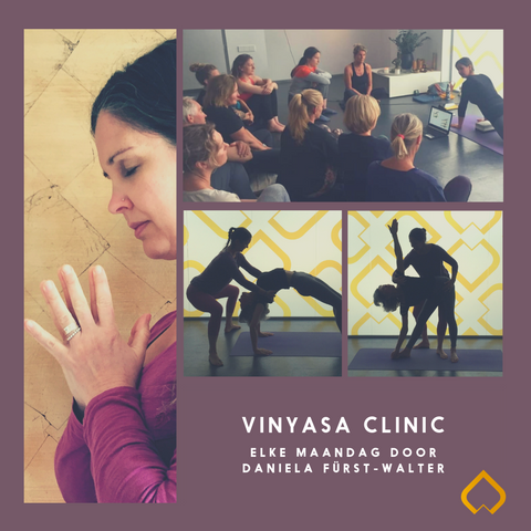 Vinyasa Clinic