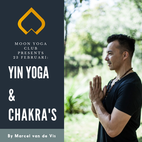 Marcel van de Vis - Yin Yoga & Chakra's