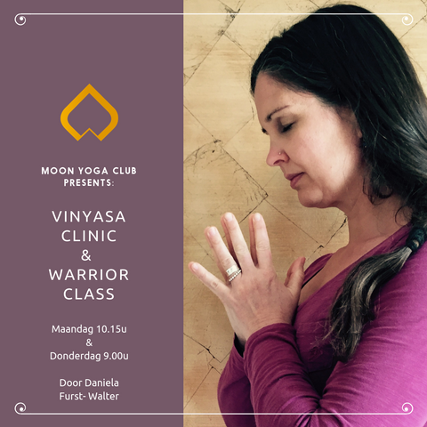Vinyasa Clinic Warrior Class