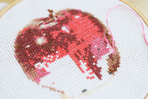 an apple a day cross stitch pattern finished result