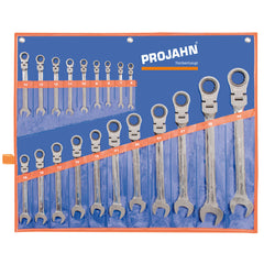 Set chei combinate PROJAHN GearTech flexibila cu clichet 6-31mm 20 buc/set