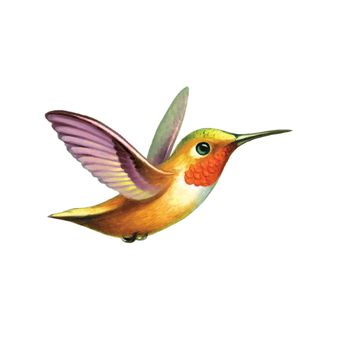 Assorted Fake Tattoo - 2 Pack