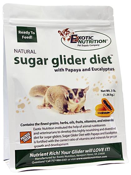 sugar glider food