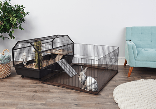 oxbow cage with play yard