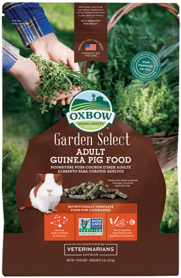 oxbow guinea pig food