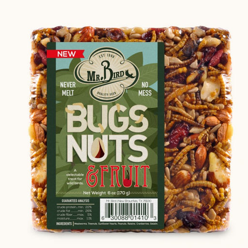 mr bird bugs and nuts