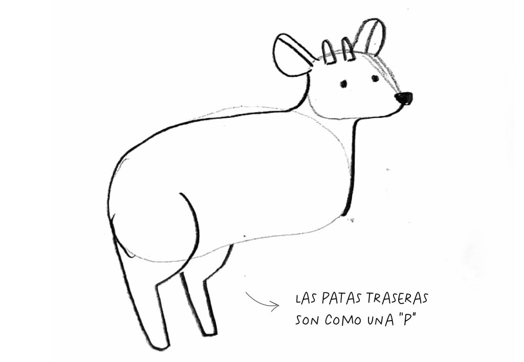 Las patitas del pudú tienen forma de P