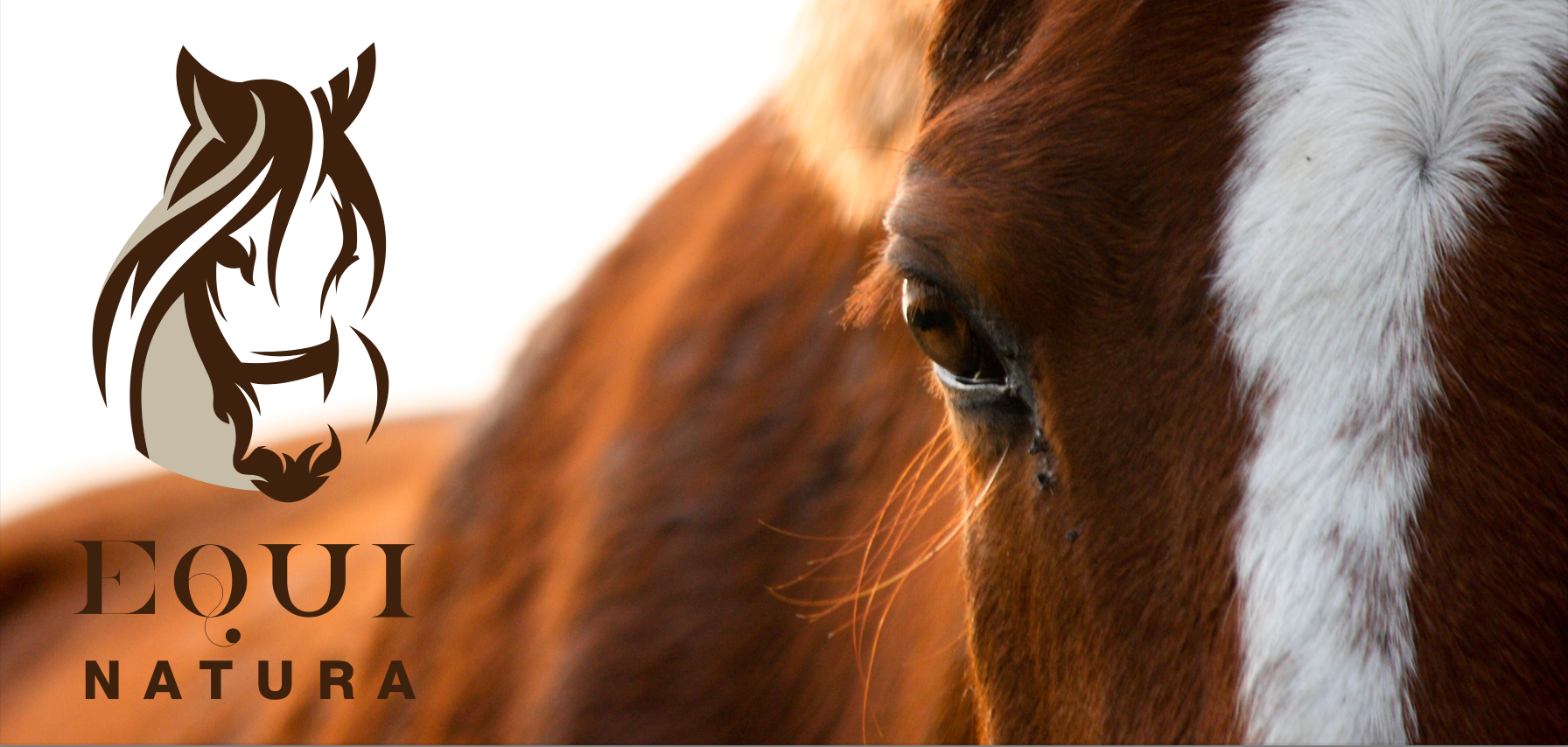 Baume cheval réparateur soin de la peau Nutragile - Equestra