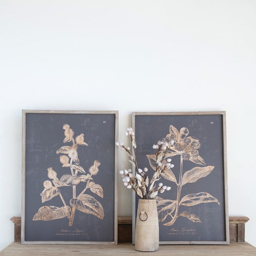 Charcoal  Botanical w/Wood Frame