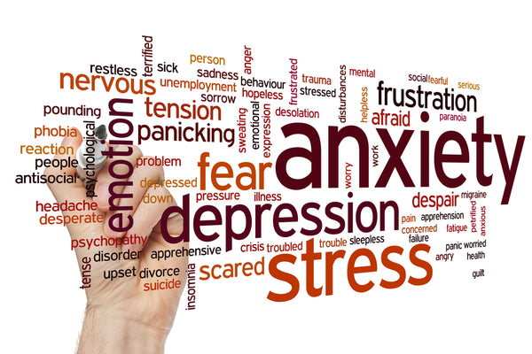 anxiety and adhd