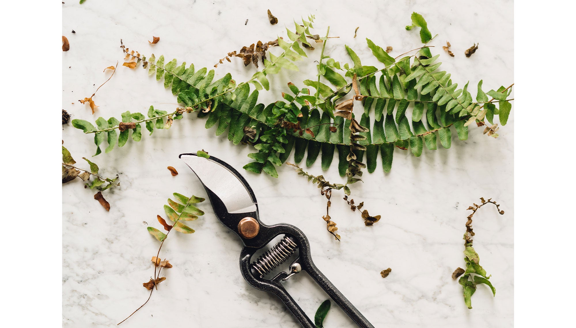 Hand tripping plant with shears