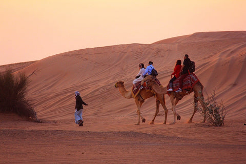 Activités autour de Dubaï: découvrez le désert