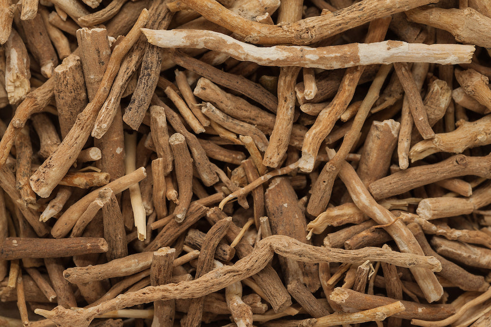The basics about Indian ginseng