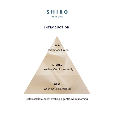 Introduction Fragrance Pyramid