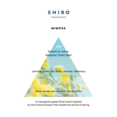 Mimosa Fragrance Pyramid