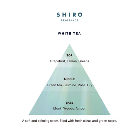 White Tea Fragrance Pyramid