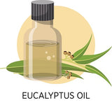 Eucalyptus Oil