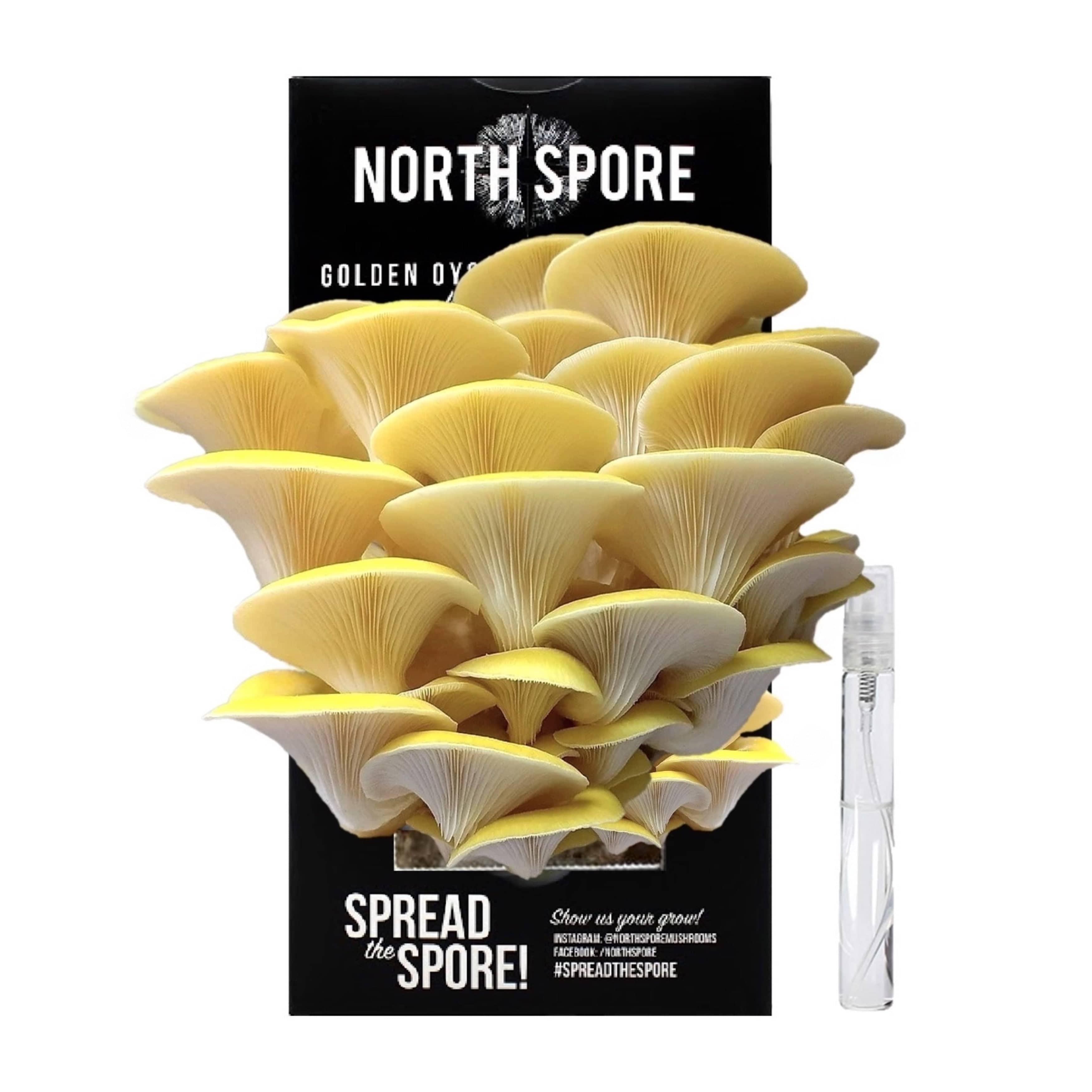 North Spore Humidistat