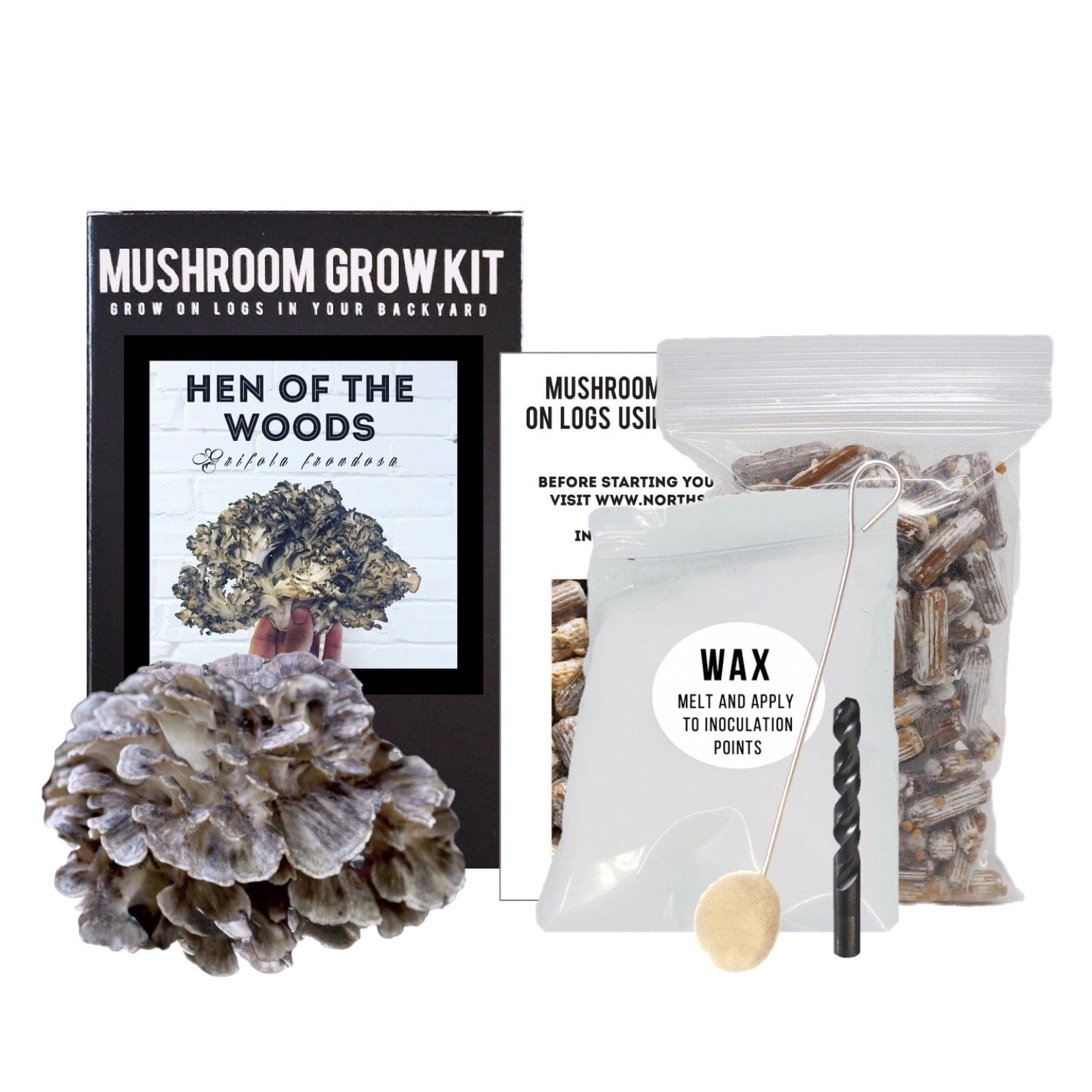 https://cdn.shopify.com/s/files/1/2418/8179/products/log-kit-hen-of-the-woods-outdoor-log-growing-kit-29466249396326.jpg?v=1676522596