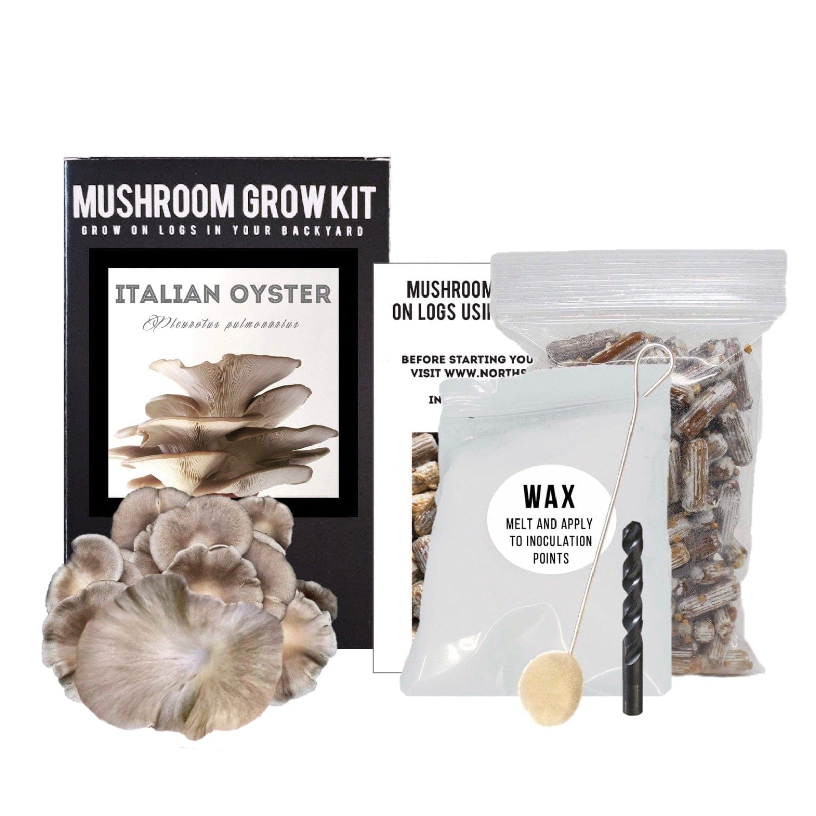 Mushrooms Growing in the Shower: Prevention and Removal