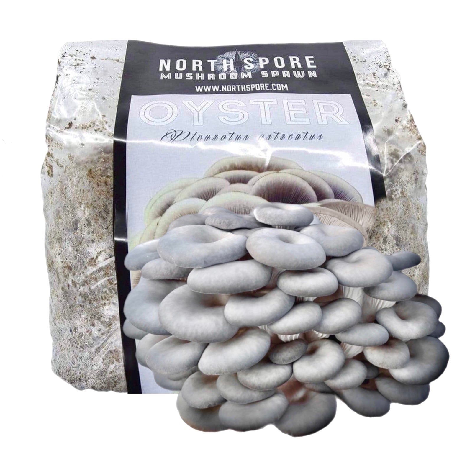 https://cdn.shopify.com/s/files/1/2418/8179/products/sawdust-spawn-blue-oyster-mushroom-sawdust-spawn-29460410728550.jpg?v=1680750982