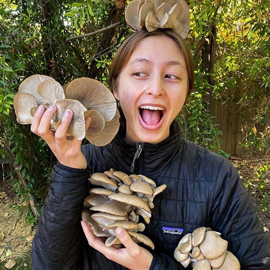 Photo shared by EcoSpore Mushrooms on November 30, 2020 tagging @northsporemushrooms. May be an image of 1 person and shiitake mushrooms.