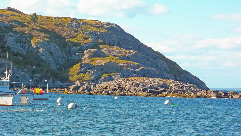 Manana Island in Monhegan Harbor, Maine