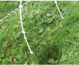 Close up of Turbomax sheep net