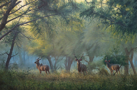 Kudu controlled by Bait on an Electric Fence