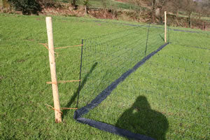 Correctly erected net